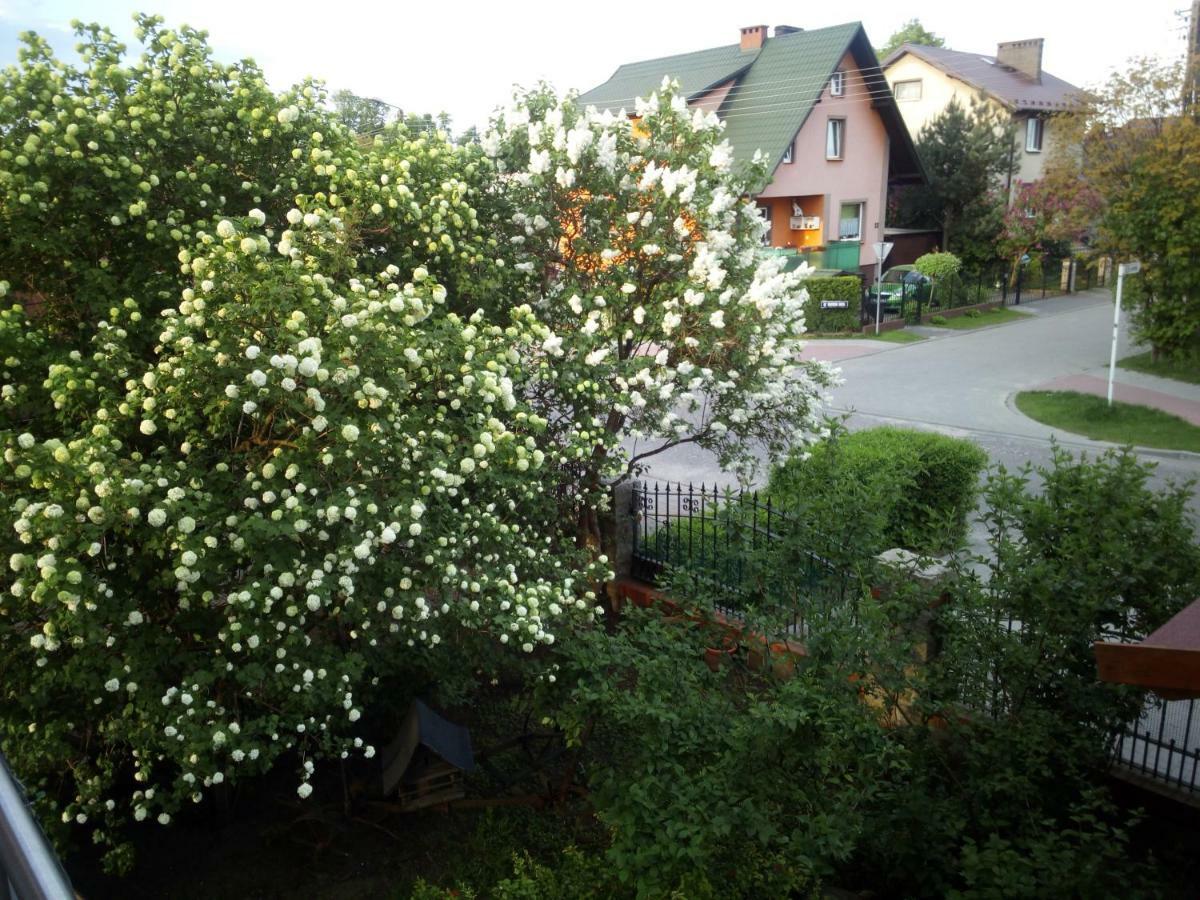 Mieszkanie Na Zielonej Tanie I Wygodne Noclegi Czluchow Luaran gambar